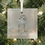 Cutest Baby Animals | Piping Plover Chick Glass Tree Decoration<br><div class="desc">This cute Getty Images photo features a one day old,  Piping Plover chick standing on the sand on the beach Long Island,  New York.</div>