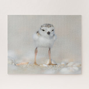 Cutest Baby Animals   Piping Plover Chick Jigsaw Puzzle