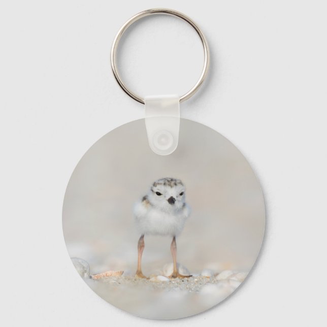 Cutest Baby Animals | Piping Plover Chick Key Ring (Front)