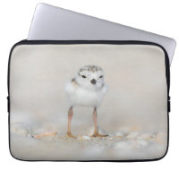 Cutest Baby Animals | Piping Plover Chick