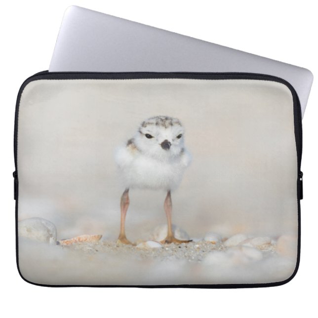 Cutest Baby Animals | Piping Plover Chick Laptop Sleeve (Front)