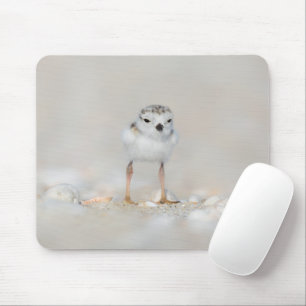 Cutest Baby Animals Piping Plover Chick Mouse Pad
