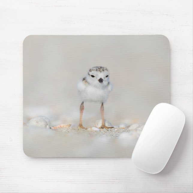 Cutest Baby Animals | Piping Plover Chick Mouse Pad (With Mouse)