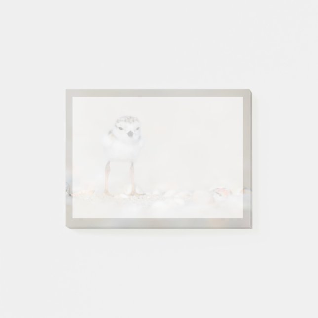 Cutest Baby Animals | Piping Plover Chick Post-it Notes (Front)