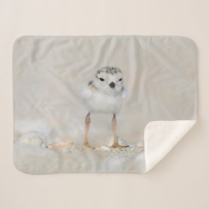 Cutest Baby Animals Piping Plover Chick Sherpa Blanket