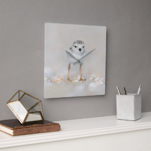 Cutest Baby Animals Piping Plover Chick Square Wall Clock