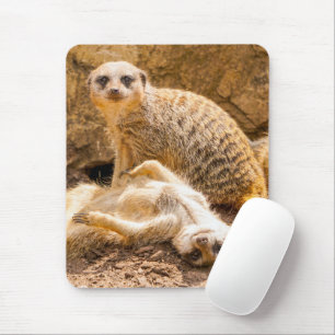 Cutest Baby Animals Playful Meerkats Mouse Pad