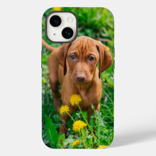 Cutest Baby Animals   Pointer Puppy Case-Mate iPhone 14 Case