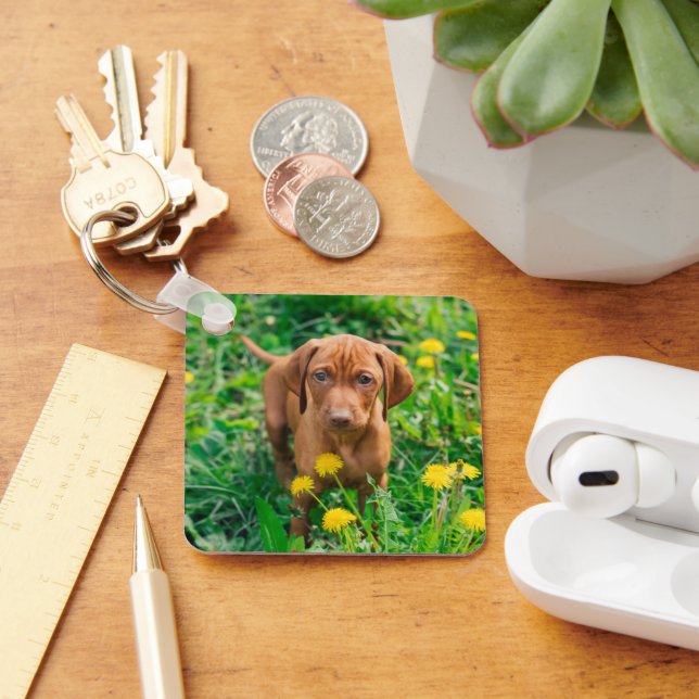 Cutest Baby Animals | Pointer Puppy Key Ring (Desk)