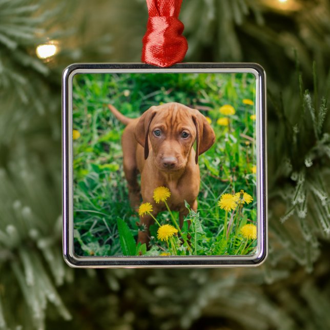Cutest Baby Animals | Pointer Puppy Metal Ornament (Tree)