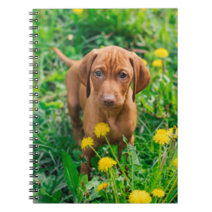 Cutest Baby Animals   Pointer Puppy Notebook