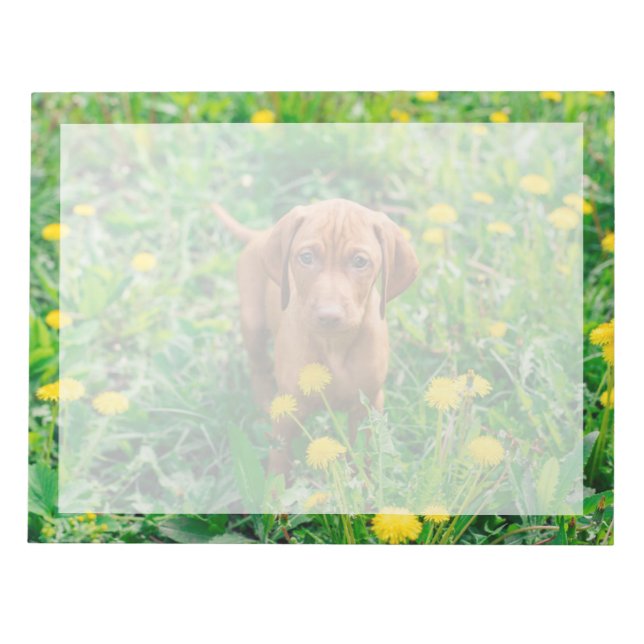 Cutest Baby Animals | Pointer Puppy Notepad (Front)