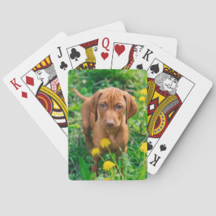 Cutest Baby Animals Pointer Puppy Playing Cards
