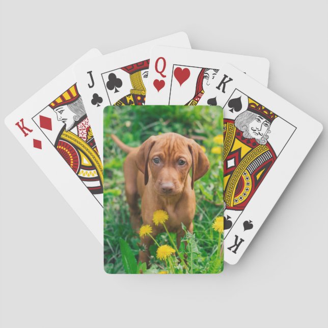 Cutest Baby Animals | Pointer Puppy Playing Cards (Back)