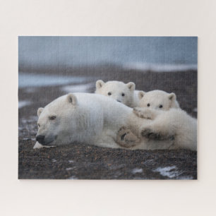 Cutest Baby Animals   Polar Bear Family Alaska Jigsaw Puzzle