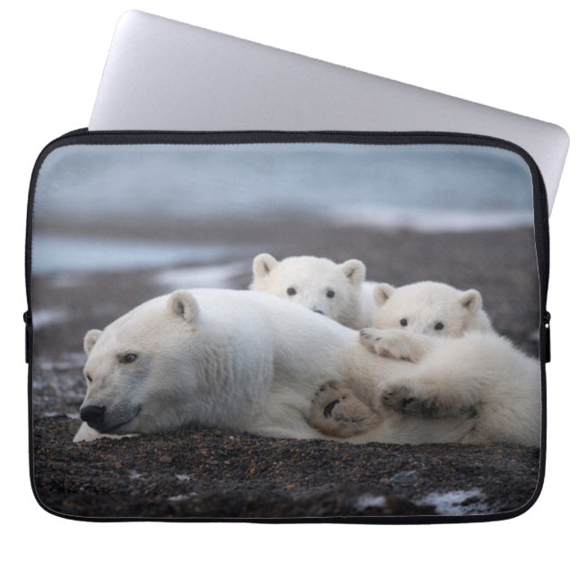 Cutest Baby Animals | Polar Bear Family Alaska Laptop Sleeve (Front)