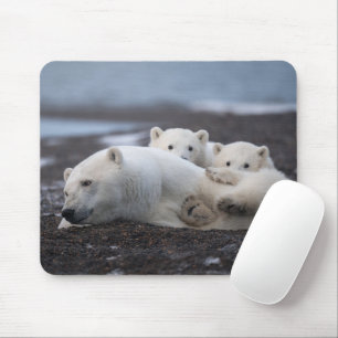 Cutest Baby Animals   Polar Bear Family Alaska Mouse Pad