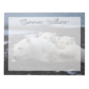 Cutest Baby Animals   Polar Bear Family Alaska Notepad