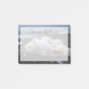 Cutest Baby Animals   Polar Bear Family Alaska Post-it Notes