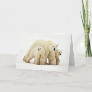 Cutest Baby Animals   Polar Bear Family Card
