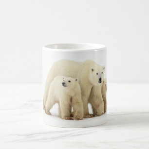 Cutest Baby Animals   Polar Bear Family Coffee Mug