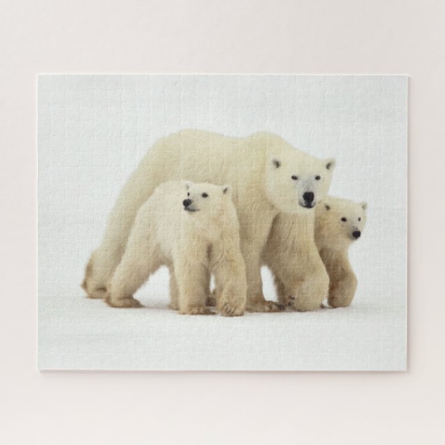 Cutest Baby Animals | Polar Bear Family Jigsaw Puzzle (Horizontal)