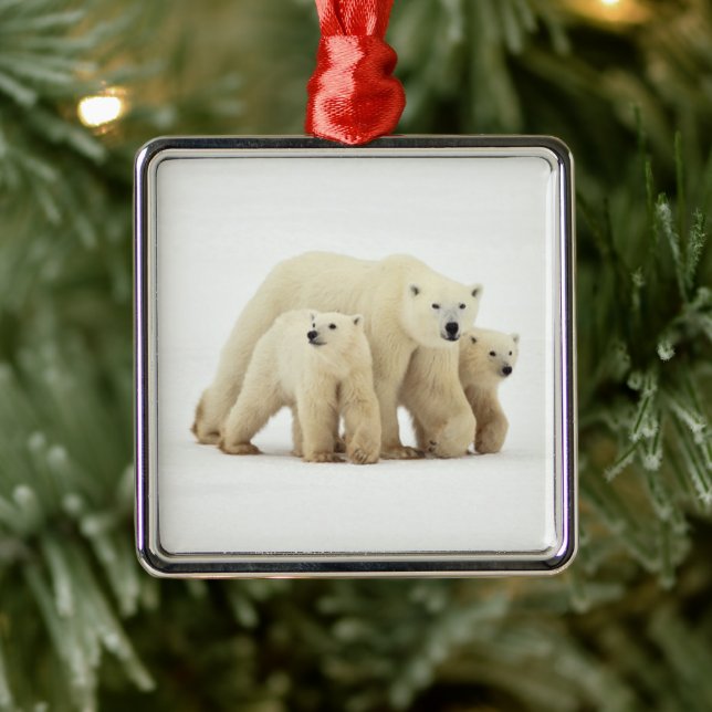 Cutest Baby Animals | Polar Bear Family Metal Ornament (Tree)