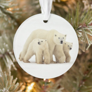 Cutest Baby Animals Polar Bear Family Ornament
