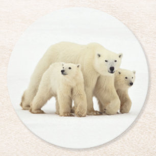 Cutest Baby Animals Polar Bear Family Round Paper Coaster