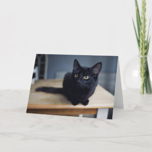 Cutest Baby Animals Portrait of a Black Cat Card