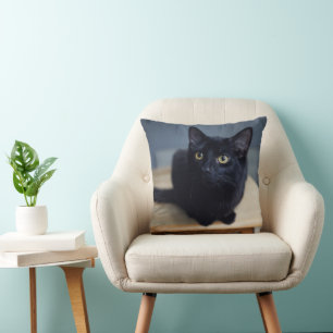 Cutest Baby Animals   Portrait of a Black Cat Cushion
