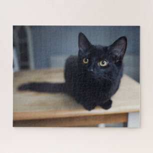 Cutest Baby Animals   Portrait of a Black Cat Jigsaw Puzzle