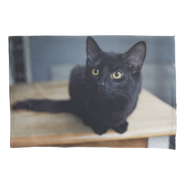 Cutest Baby Animals | Portrait of a Black Cat Pillowcase (Front)
