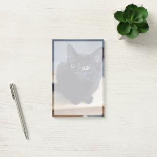 Cutest Baby Animals Portrait of a Black Cat Post-it Notes