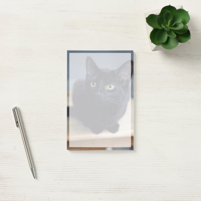 Cutest Baby Animals | Portrait of a Black Cat Post-it Notes (Office)