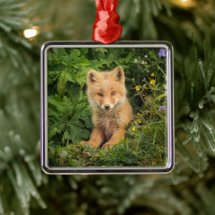 Cutest Baby Animals Red Fox at Umnak Alaska Metal Ornament