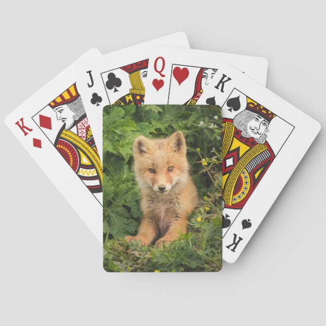 Cutest Baby Animals | Red Fox at Umnak Alaska Playing Cards (Back)