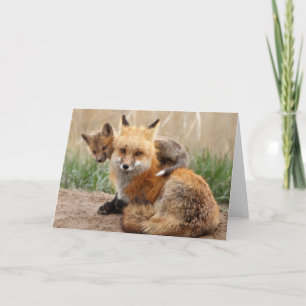 Cutest Baby Animals Red Fox & Baby Card