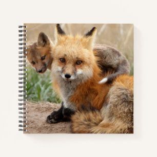 Cutest Baby Animals   Red Fox & Baby Notebook
