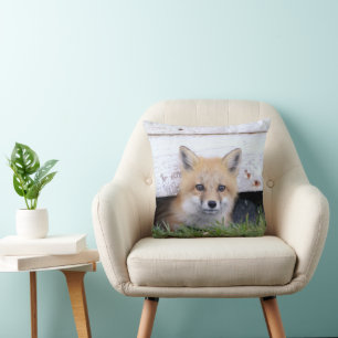Cutest Baby Animals   Red Fox Kit Peeking Cushion