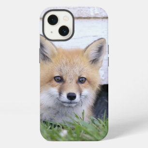 Cutest Baby Animals   Red Fox Kit Peeking iPhone 13 Case