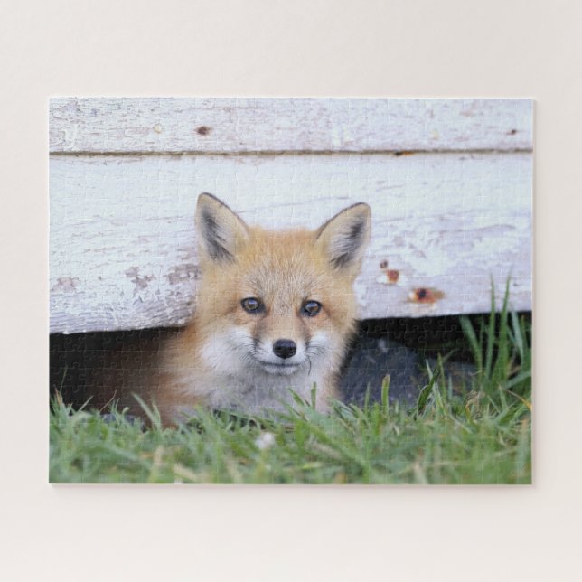 Cutest Baby Animals | Red Fox Kit Peeking Jigsaw Puzzle (Horizontal)