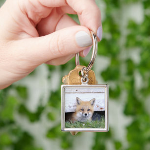 Cutest Baby Animals   Red Fox Kit Peeking Key Ring