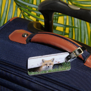 Cutest Baby Animals   Red Fox Kit Peeking Luggage Tag