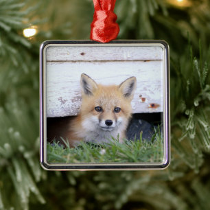 Cutest Baby Animals   Red Fox Kit Peeking Metal Ornament