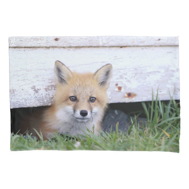 Cutest Baby Animals | Red Fox Kit Peeking Pillowcase (Front)