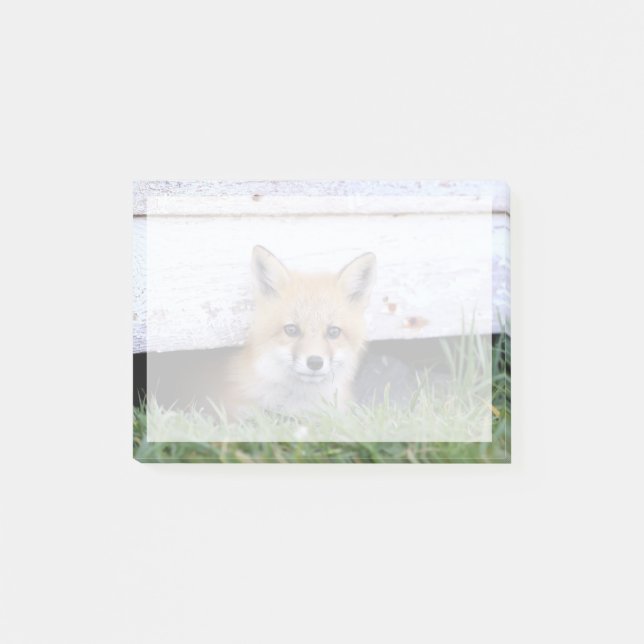 Cutest Baby Animals | Red Fox Kit Peeking Post-it Notes (Front)
