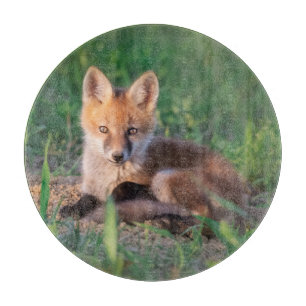 Cutest Baby Animals Red Fox Kit Relaxing Cutting Board