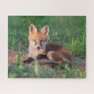 Cutest Baby Animals   Red Fox Kit Relaxing Jigsaw Puzzle