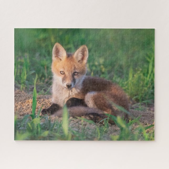 Cutest Baby Animals | Red Fox Kit Relaxing Jigsaw Puzzle (Horizontal)
